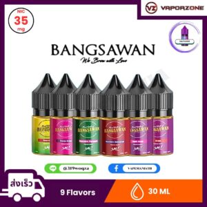 Bangsawan Saltnic