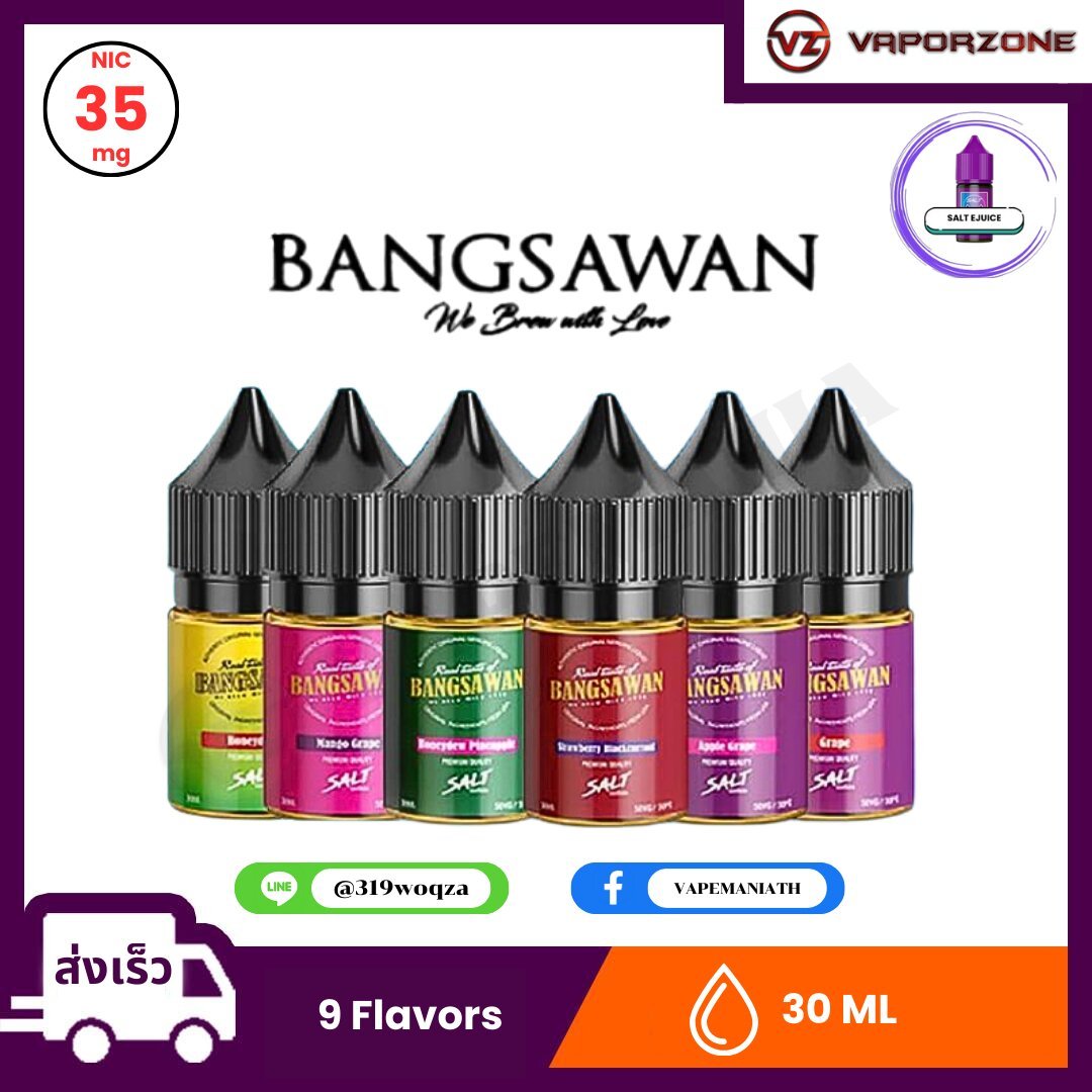 Bangsawan Saltnic